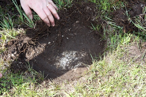 Once we found a portion of stone poking above grass level, we pulled the grass back to reveal the headstone.