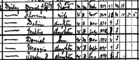 The 1900 U.S. Census shows the Dailey family.